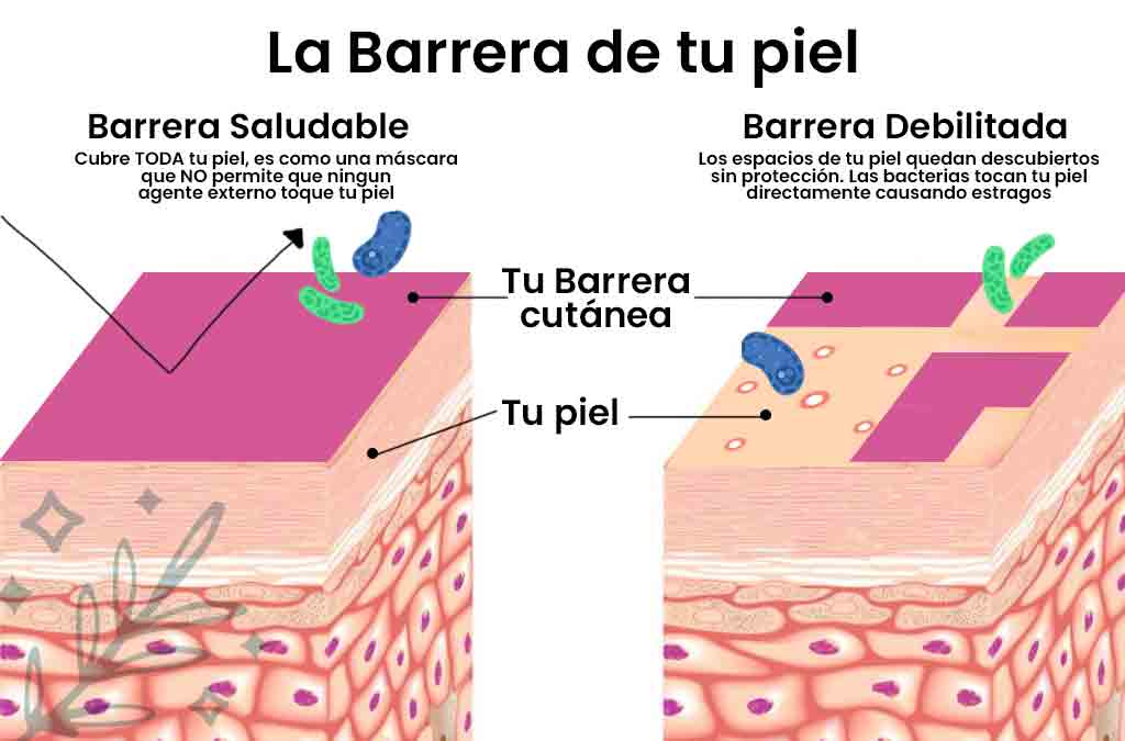 Barrera de la piel y su pH balanceado